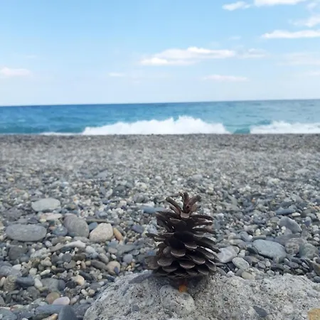 Apartment Ierre Vaticano 